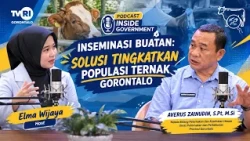 INSIDE GOVERNMENT PODCAST - ARTIFICIAL INSEMINATION: A SOLUTION TO INCREASE GORONTALO'S LIVESTOCK...