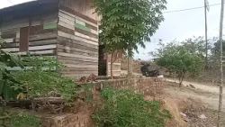 Batam TV Pelalawan Pangkalan Kuras