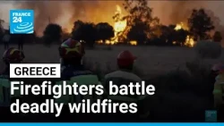 Greek firefighters battle deadly wildfires on Crete for a second day • FRANCE 24 English