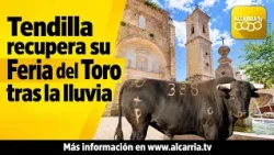 Tendilla recupera su Feria del Toro tras la lluvia