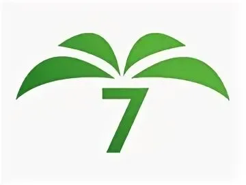 Elche 7 TV