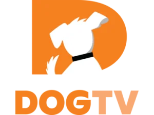 DOG TV