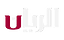 Al Rayyan HD