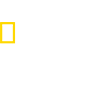 NGC Wild HD