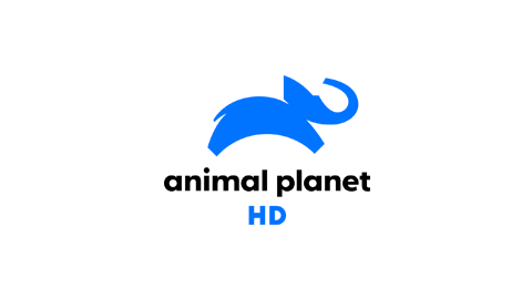 Animal Planet