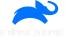 Animal Planet