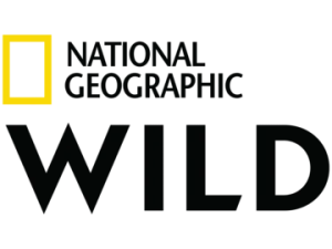 National Geographic Wild HD