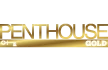 Penthouse Gold