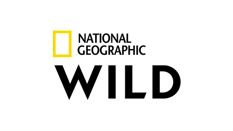 Nat Geo Wild HD (BIH)
