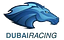 Dubai Racing 1 HD