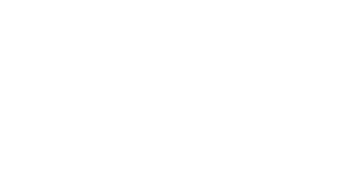 Fight
