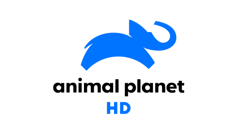 Animal Planet HD (BIH)