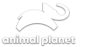 Animal Planet D