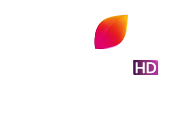 COLORS MARATHI HD