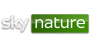 Sky Nature