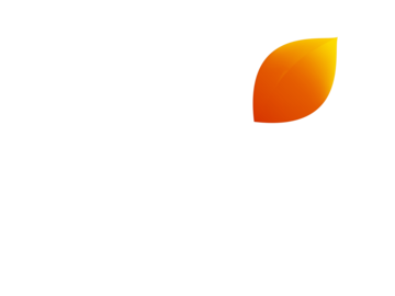 COLORS GUJARATI