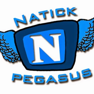 NatickTV Public Access Channel