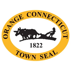 Orange Government Access TV