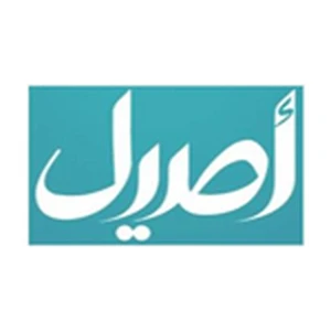 Asil TV
