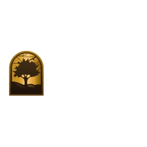 Chino Hills City TV Channel 3/41