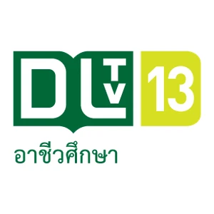 DLTV 13