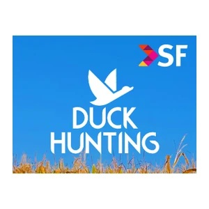 Duck Hunting TV
