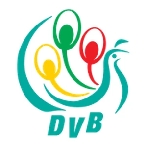DVB TV