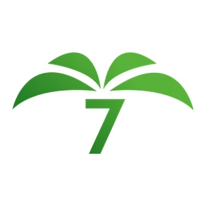 Elche 7 TV