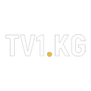 TV1 KG