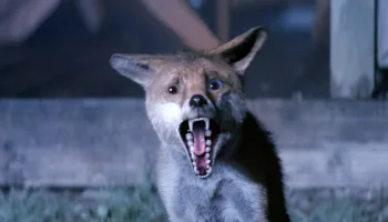 Nightmare Radio – The Night Stalker