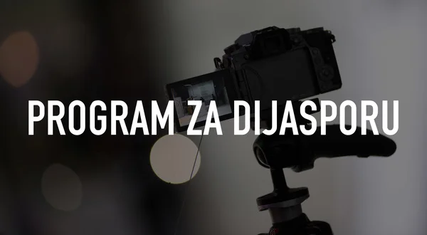 Program za dijasporu