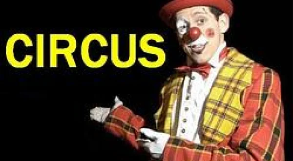 The Circus