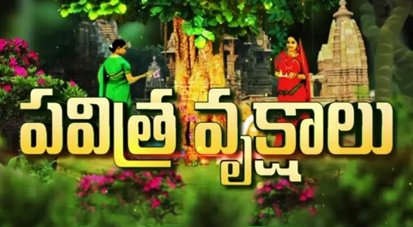 Pavitra Vrukshalu