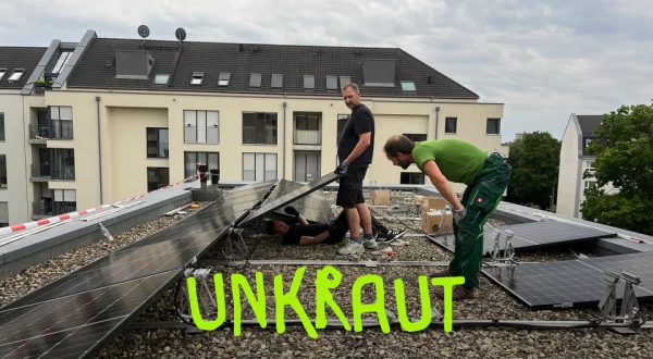 Unkraut