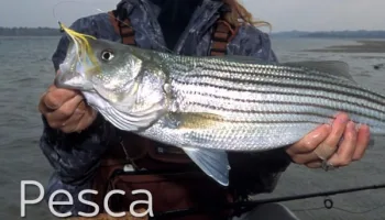 Pescavventura Fly Tour 3