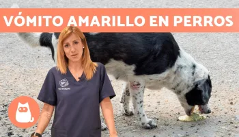 Cuida al 100% de su salud
