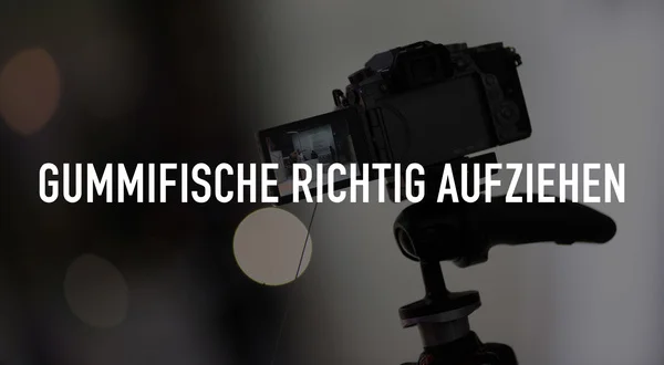 Gummifische richtig aufziehen