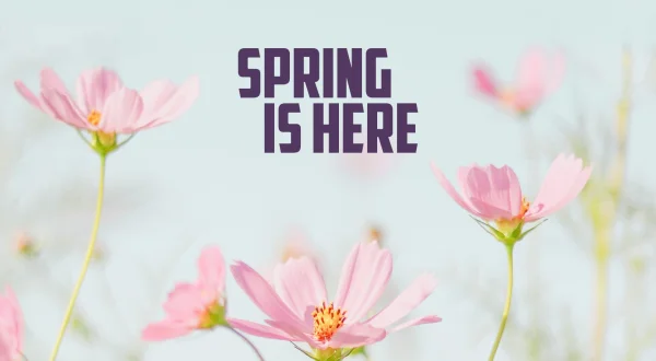 Spring Is Here!
