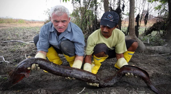Θηριώδη Πλάσματα των Ποταμών | River Monsters