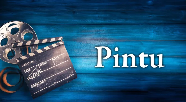Pintu