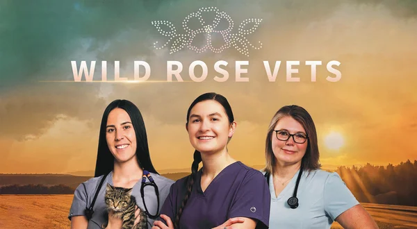 Wild Rose Vets