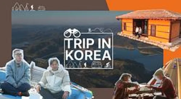 Trip In Korea