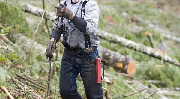 Ax Men: Duri come il legno