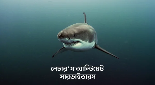नेचर्स अल्टिमेट सर्वाइवर्स