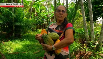 IMPACTS: Climates Change the World