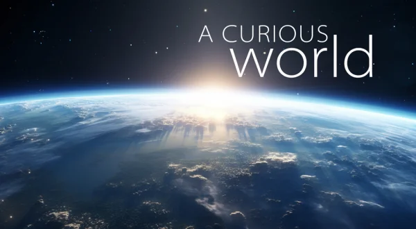 A Curious World