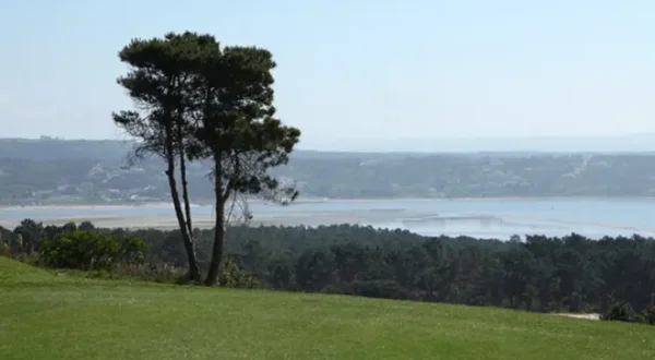 Golf Report