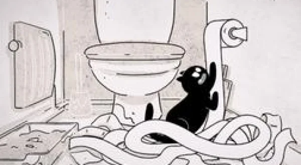 Putain de chat !