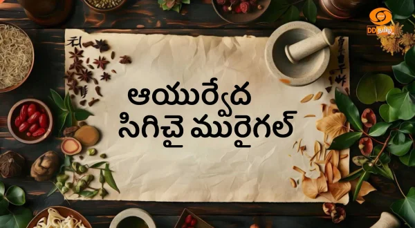 ஆயுர்வேத சிகிச்சை முறைகள்