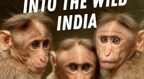 Into the Wild: India